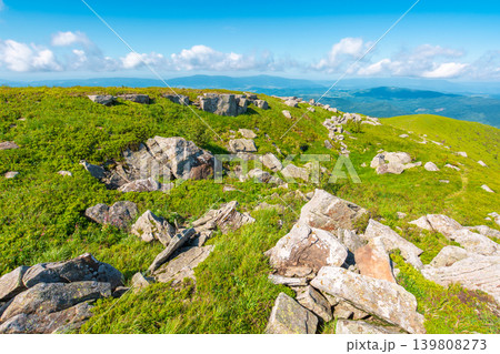 alpine grassy meadow. carpathian mountains landscape with huge boulders. alpine nature scenery of ukraine highlands in summer. view of remote place in mountains 139808273