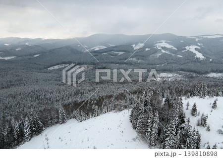 Aerial foggy landscape with evergreen pine trees covered with fresh fallen snow after heavy snowfall in winter mountain forest on cold quiet evening. 139810898
