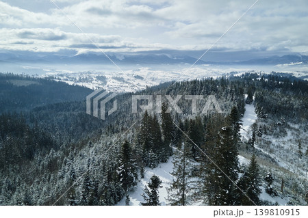 Aerial foggy landscape with evergreen pine trees covered with fresh fallen snow after heavy snowfall in winter mountain forest on cold quiet morning Aerial foggy landscape with evergreen pine trees covered with fresh fallen snow after heavy snowfall in winter mountain forest on cold quiet morning 139810915