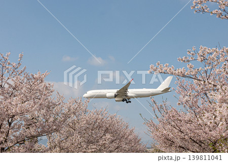 空の飛行機を引き立てる桜 空の飛行機を引き立てる桜 139811041