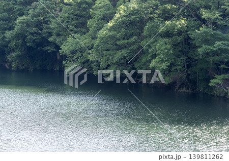 新緑に囲まれた埼玉県長瀞町の荒川の風景 139811262