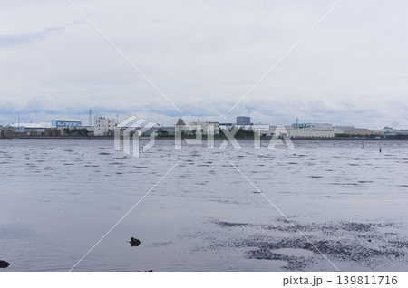 千葉県市川市江戸川2026年5月 千葉県市川市江戸川2026年5月 139811716