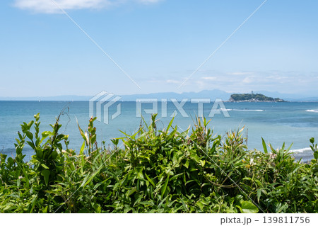 美しい緑の植え込み越しに見える江の島 139811756