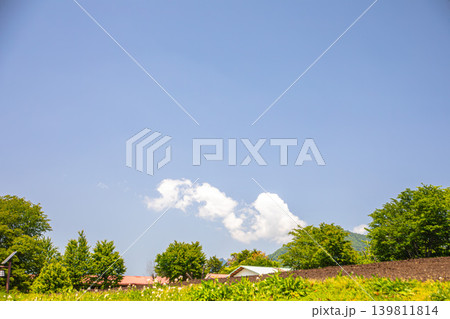 光が優しく差し込む美しい草原の風景 139811814