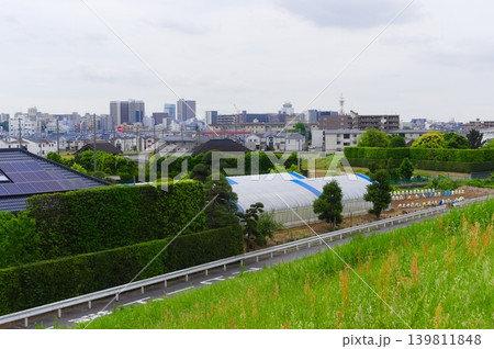 千葉県松戸市江戸川からの眺め2026年5月 千葉県松戸市江戸川からの眺め2026年5月 139811848