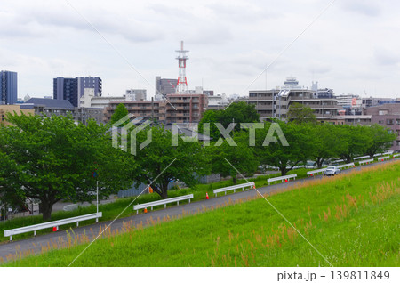 千葉県松戸市江戸川からの眺め2026年5月 千葉県松戸市江戸川からの眺め2026年5月 139811849