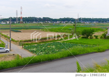 千葉県松戸市江戸川からの眺め2026年5月 千葉県松戸市江戸川からの眺め2026年5月 139811852