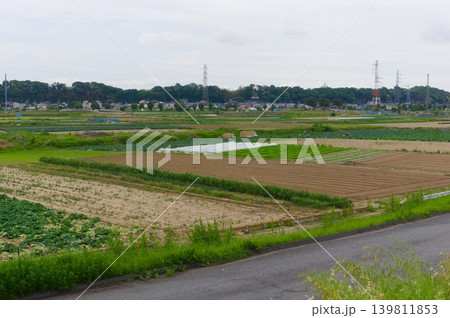 千葉県松戸市江戸川からの眺め2026年5月 139811853