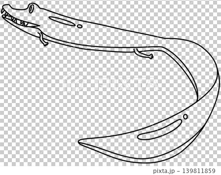 石炭紀のエオギリヌスのデフォルメイラスト 139811859