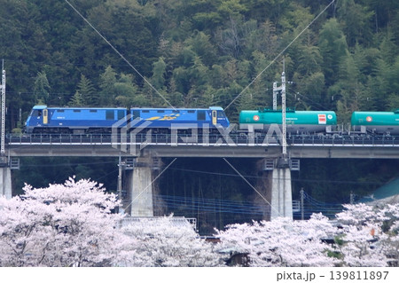 眼下に咲き誇る桜に見送られて早朝の中央東線に挑むEH200-12号機牽引の貨物列車 眼下に咲き誇る桜に見送られて早朝の中央東線に挑むEH200-12号機牽引の貨物列車 139811897