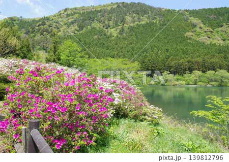 隠岐の島町亀の原池の景色 隠岐の島町亀の原池の景色 139812796