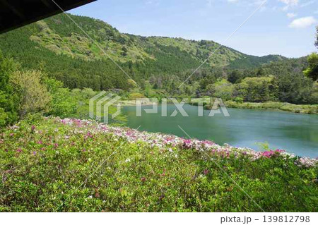 隠岐の島町亀の原池の景色 隠岐の島町亀の原池の景色 139812798