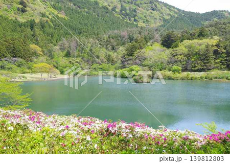 隠岐の島町都万地区亀の原池の景色 139812803