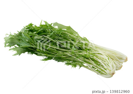 透明背景(png)に水菜 透明背景(png)に水菜 139812960