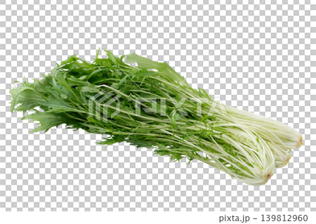 Mizuna (Japanese mustard greens) on a transparent background (png) Mizuna (Japanese mustard greens) on a transparent background (png) 139812960