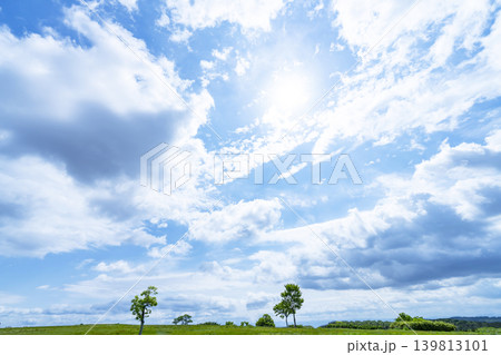 青空と雲と草原 青空と雲と草原 139813101