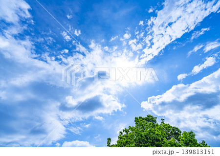 青空と雲と樹木 139813151