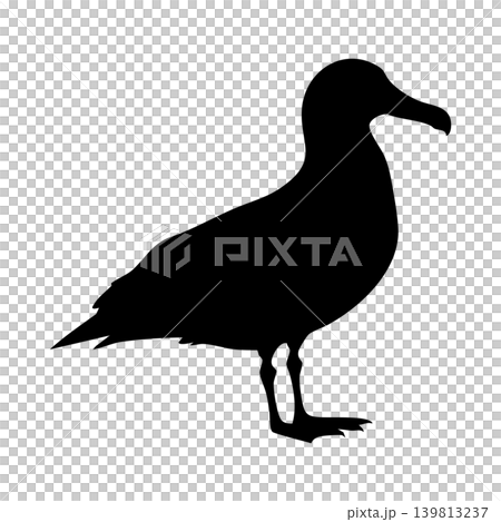 Albatross silhouette, alpha channel Albatross silhouette, alpha channel 139813237