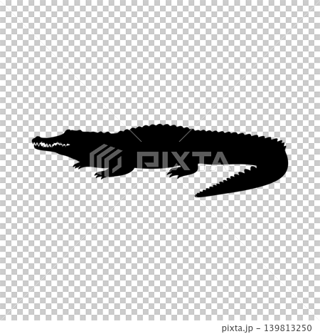 鱷魚輪廓,透明通道 鱷魚輪廓,透明通道 139813250