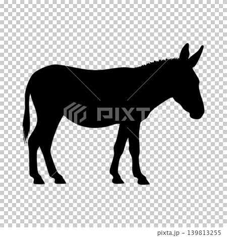 Donkey silhouette, alpha channel 139813255