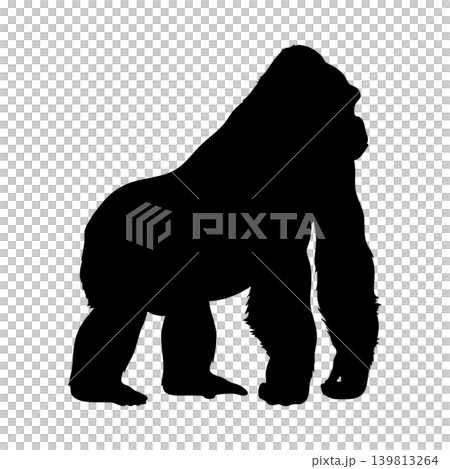Gorilla silhouette, alpha channel 139813264