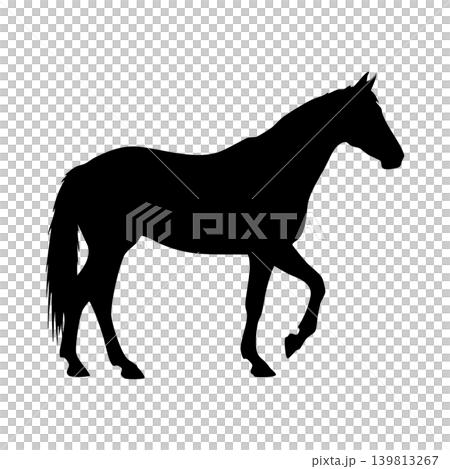 Horse silhouette, alpha channel Horse silhouette, alpha channel 139813267