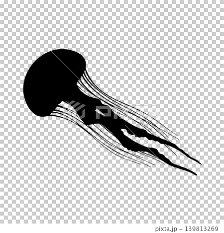 Jellyfish silhouette, alpha channel Jellyfish silhouette, alpha channel 139813269