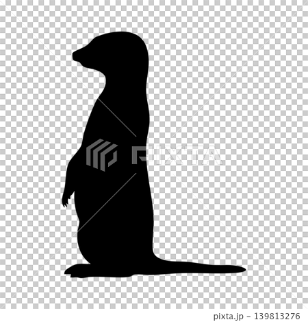 狐狸獴輪廓,透明通道 狐狸獴輪廓,透明通道 139813276