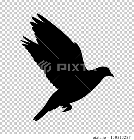 Pigeon silhouette, alpha channel 139813287