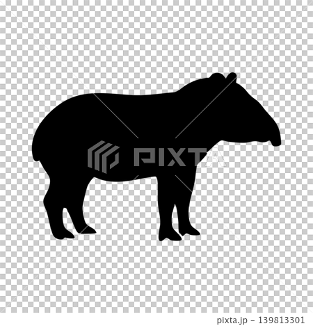 Tapir silhouette, alpha channel 139813301