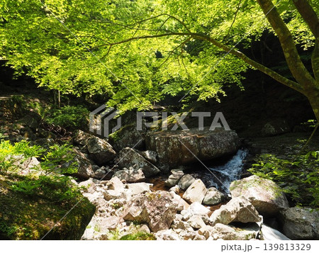 初夏のまばゆい新緑に包まれて。三重・名張の秘境に広がる八畳岩の景観 初夏のまばゆい新緑に包まれて。三重・名張の秘境に広がる八畳岩の景観 139813329