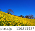 絶景の菜の花畑 139813527