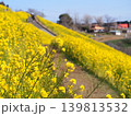 絶景の菜の花畑 139813532