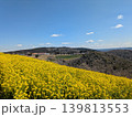 絶景の菜の花畑 139813553