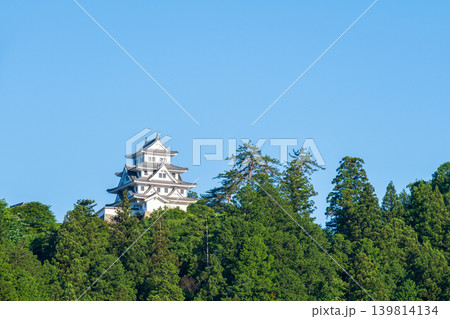 郡上八幡城 郡上八幡城 139814134