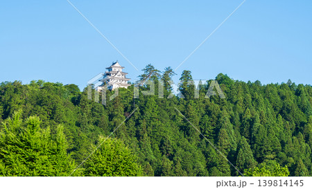 郡上八幡城 郡上八幡城 139814145