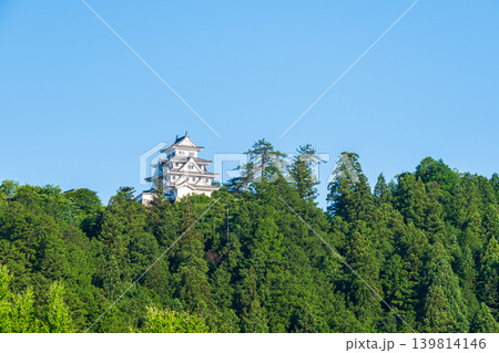 郡上八幡城 139814146
