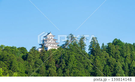 郡上八幡城 郡上八幡城 139814148