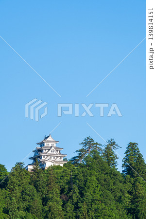 郡上八幡城 郡上八幡城 139814151