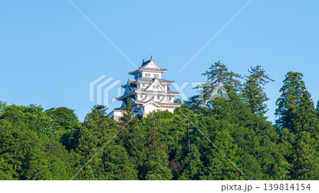 郡上八幡城 139814154