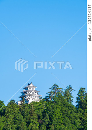 郡上八幡城 139814157