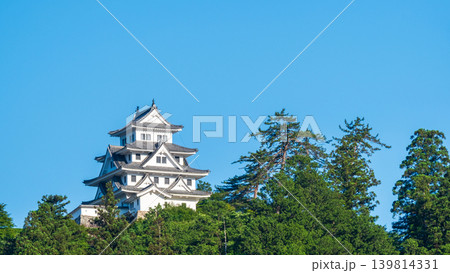 郡上八幡城 139814331