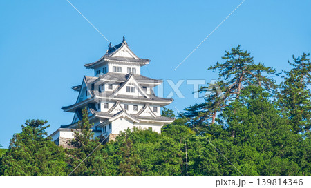 郡上八幡城 郡上八幡城 139814346