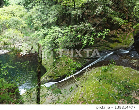 新緑の隙間から望む秘境の息吹。俯瞰アングルで捉えた布曳滝の清流 新緑の隙間から望む秘境の息吹。俯瞰アングルで捉えた布曳滝の清流 139814477