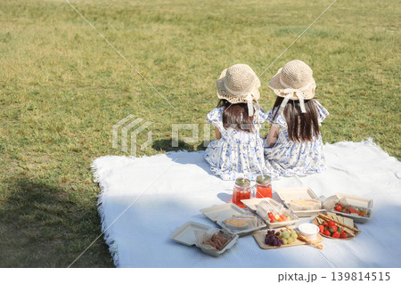夏の公園でピクニックを楽しむ姉妹の後ろ姿とフード 139814515