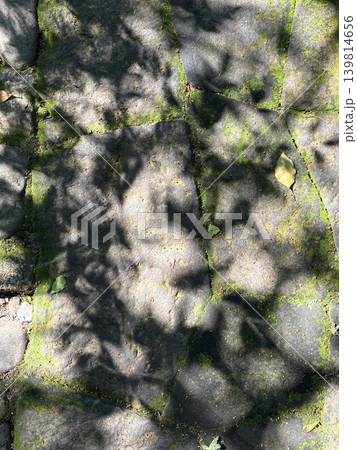 石畳に映る木漏れ日と葉の影 石畳に映る木漏れ日と葉の影 139814656