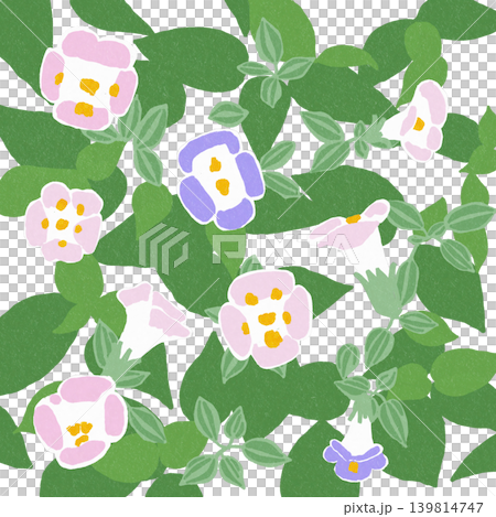 手描きの花のイラスト　トレニア 139814747