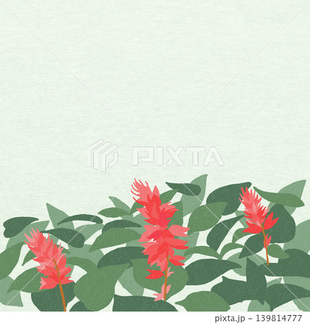 手描きの花のイラスト サルビア 手描きの花のイラスト サルビア 139814777