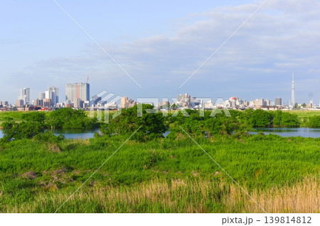 千葉県松戸市江戸川2026年5月 千葉県松戸市江戸川2026年5月 139814812