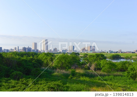 千葉県松戸市江戸川2026年5月 千葉県松戸市江戸川2026年5月 139814813